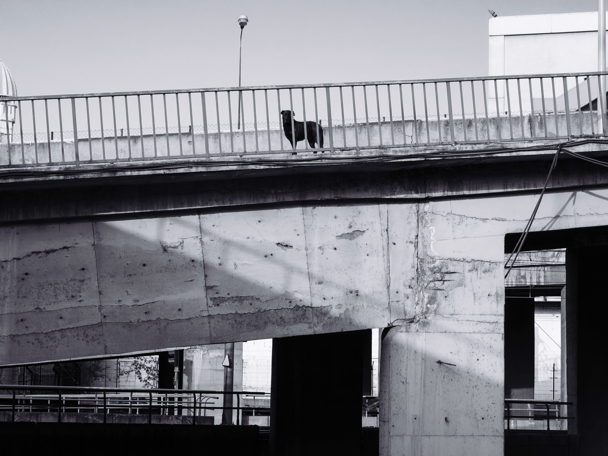 Turkey / 2014