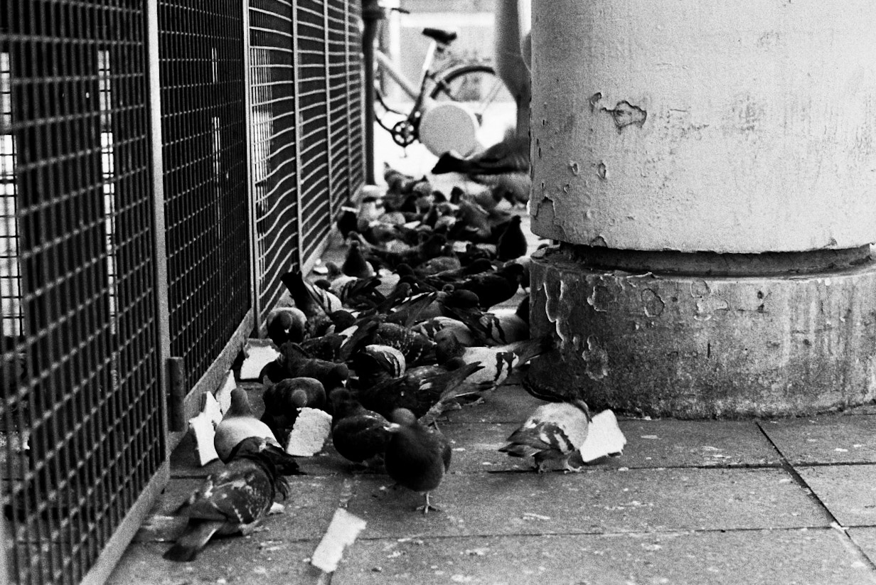 Paris, France / 2013